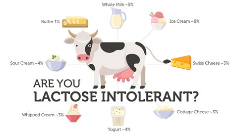 Can being vegan make you lactose intolerant